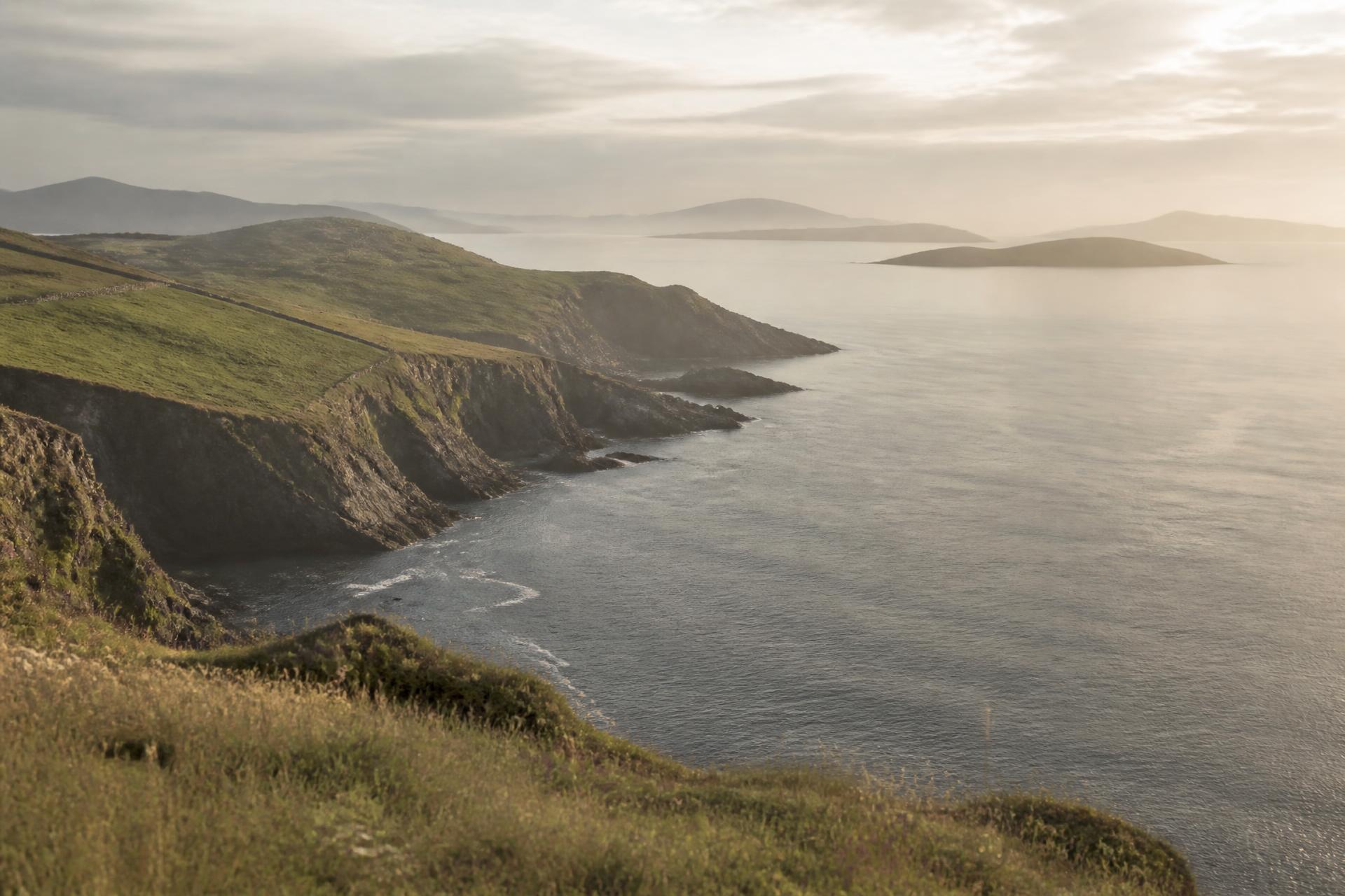 Green headland meeting a calm sea on the West Cork coast at dawn