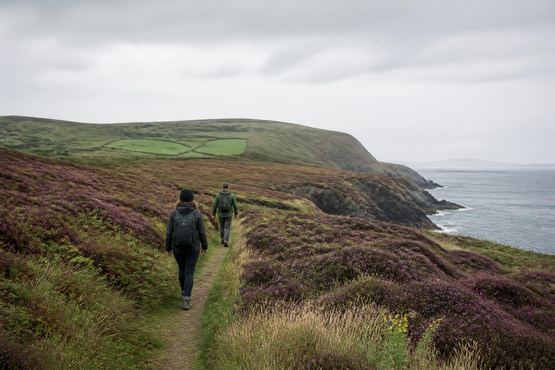 Two walkers on a heather-lined path above the Cork coastline